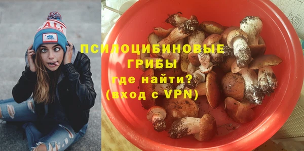 стаф Куйбышев